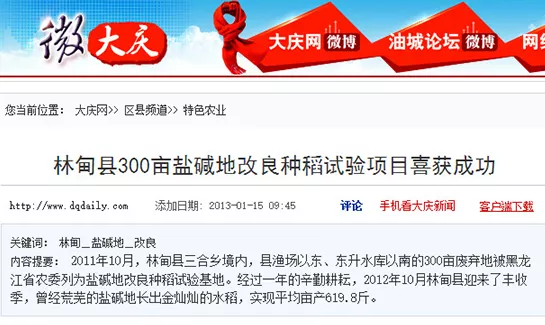 林甸县300亩盐碱地改